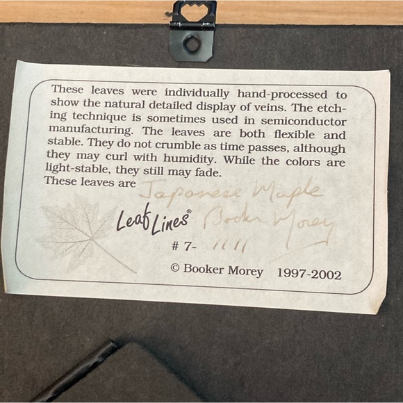 Japanese Maple Leaf Lines Framed Art - Picture 3 of 10